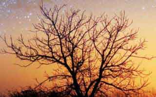 Halda Therapeutics: What's Up With The Stock?