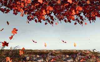 pi: What we know and why it matters